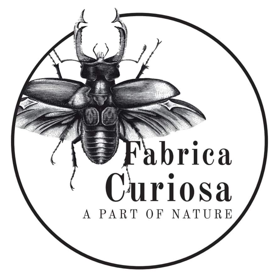Fabrica Curiosa